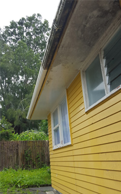 residential house washing remove dirt, grime, mould and lichen